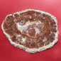 Bois fossilisé 1607g