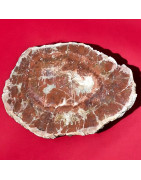 Bois fossilisé 1607g
