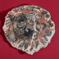 Bois fossilisé 1174g