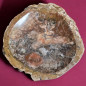 Bois fossilisé creusé 3643g