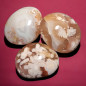 Galet Agate fleur