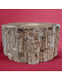 Bois fossilisé Tronc