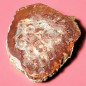Bois fossilisé 210g