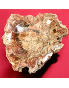 Bois fossilisé 1746g (s)