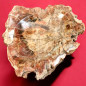 Bois fossilisé 1746g (s)