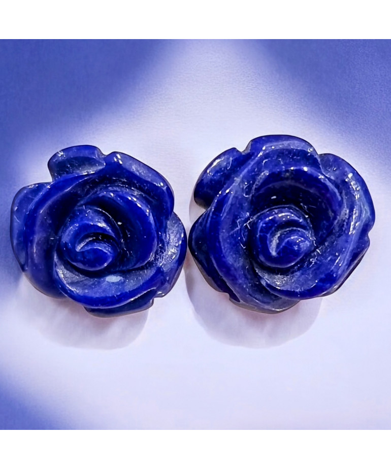 Boucles Lapis-lazuli Fleurs Argent 925 (s)