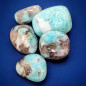 Pierre roulée Amazonite (s)