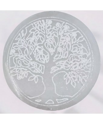 Disque de rechargement Sélénite Arbre de vie diam 10cm (s)