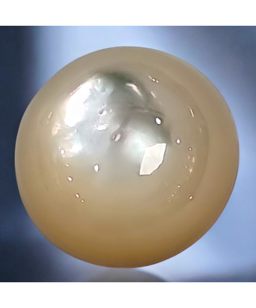 Cabochon Nacre pour Bague modulable (s)