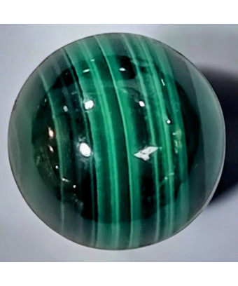 Cabochon Malachite pour Bague modulable (s)