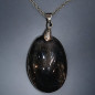 Pendentif Obsdienne Argentée Ovale avec Chaîne acier (s)