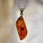 Pendentif Ambre avec Chaîne acier (s)