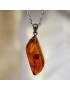 Pendentif Ambre avec Chaîne acier (s)