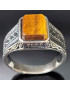 Bague Œil de tigre Acier inox Taille 64 (s)