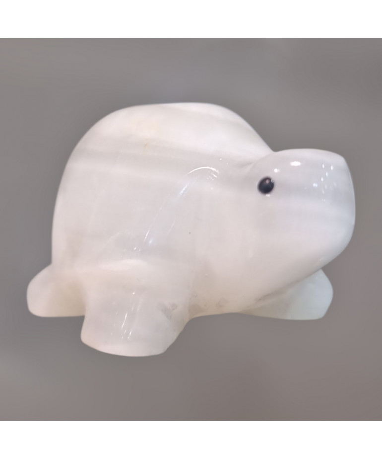 Tortue Onyx blanche 6cm