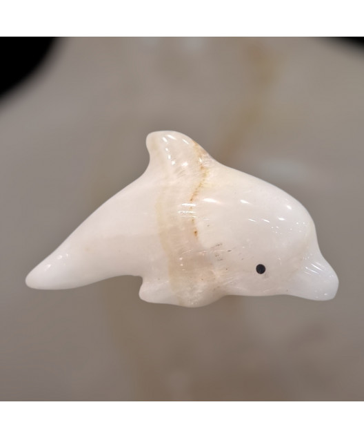 Dauphin Onyx blanche 6cm