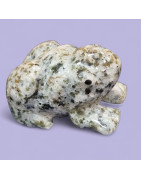 Grenouille Quartz tourmaline 8cm (s)