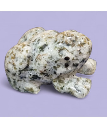 Grenouille Quartz tourmaline 8cm (s)