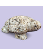 Tortue Quartz tourmaline 8cm (s)