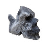 Crâne Goethite L14cm x H9cm 800g