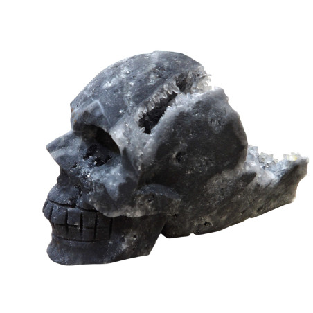 Crâne Goethite L14cm x H9cm 800g