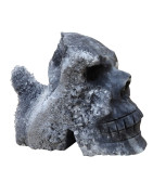 Crâne Goethite L14cm x H9cm 800g