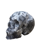 Crâne Goethite L11cm x H8cm 509g