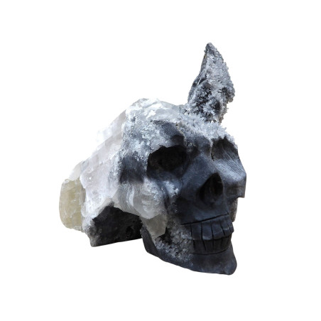 Crâne Goethite et Cristal de Roche L17cm x H14cm 2322g