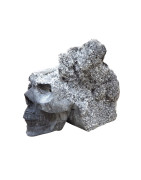 Crâne Goethite et Cristal de Roche L17cm x H14cm 2322g