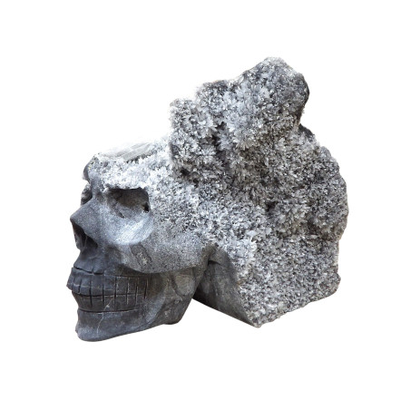 Crâne Goethite et Cristal de Roche L17cm x H14cm 2322g