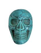 Crâne Turquoise