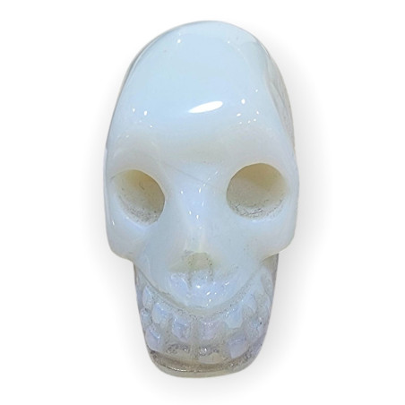Crâne Verre Opaline
