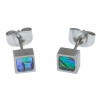 Boucles Nacre Abalone Acier Carrées 5x5mm