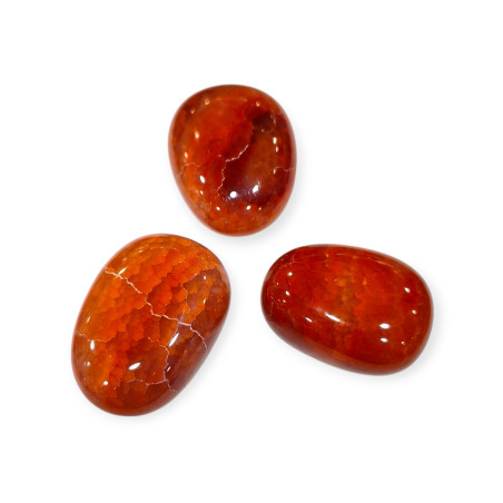 Pierre Roulée Sardonyx