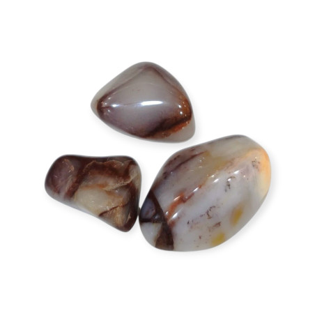 Pierre Roulée Cataclasite du Botswana