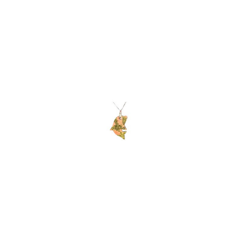 Pendentif Unakite Dauphin avec chaîne réglable (s)