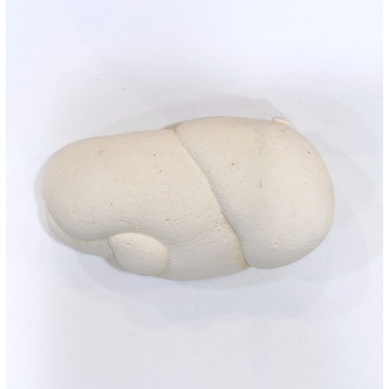 Pierre Brute Pierre de Fées