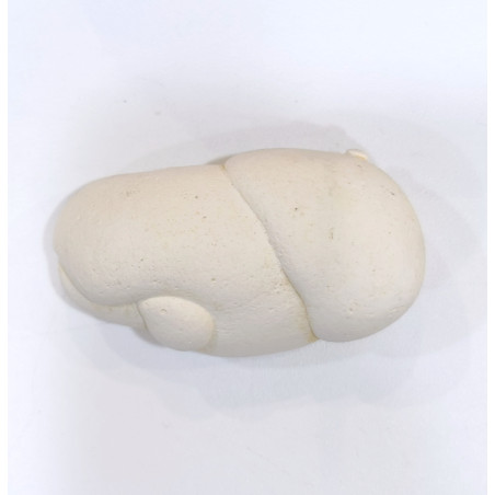 Pierre Brute Pierre de Fées