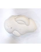 Pierre Brute Pierre de Fées 38g / 7cm