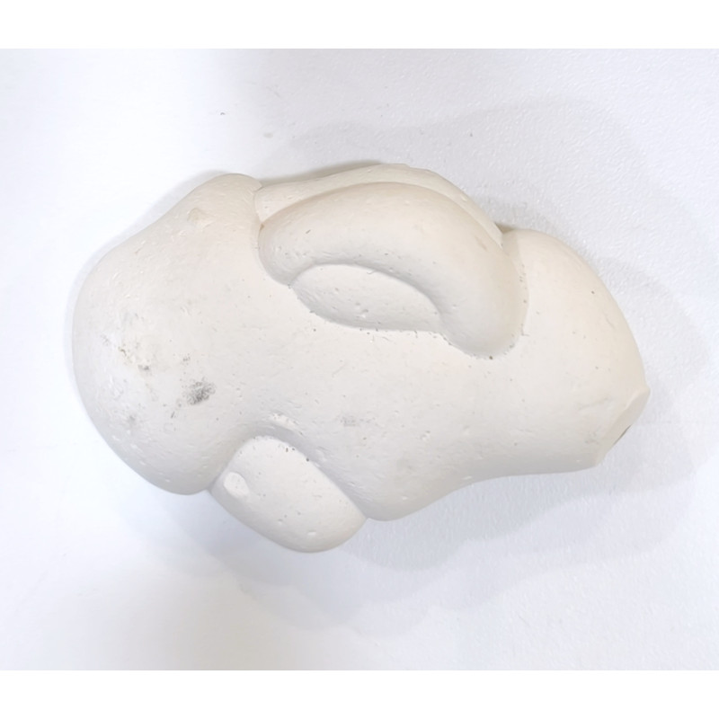 Pierre Brute Pierre de Fées 38g / 7cm