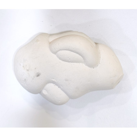 Pierre Brute Pierre de Fées 38g / 7cm