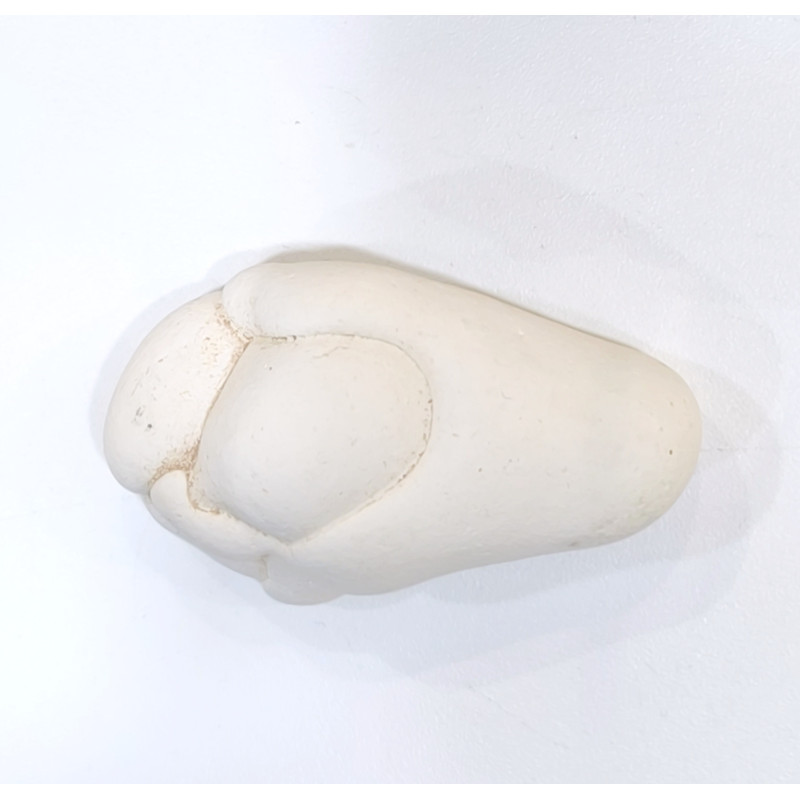 Pierre Brute Pierre de Fées 32g / 6cm