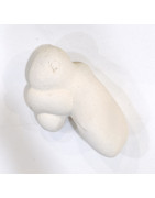 Pierre Brute Pierre de Fées 21g / 5.5cm