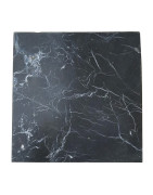 Plaque Shungite 10x10 cm