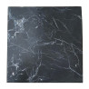 Plaque Shungite 10x10 cm