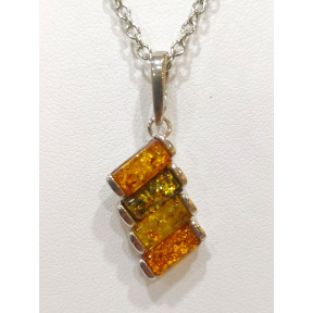 Pendentif Ambre Baltique et Végétal Argent 925 avec Chaîne Acier