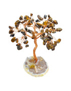 Arbre du bonheur Œil de Tigre 10 cm