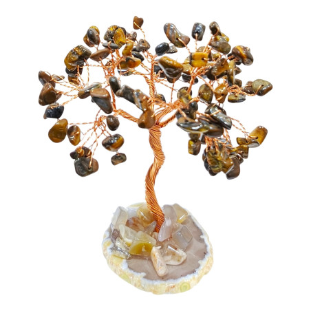 Arbre du bonheur Œil de Tigre 10 cm