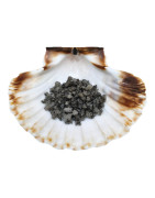 Sel Noir de Protection 215 g (Sel IGP Guérande)