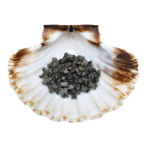 Sel Noir de Protection 215 g (Sel IGP Guérande)